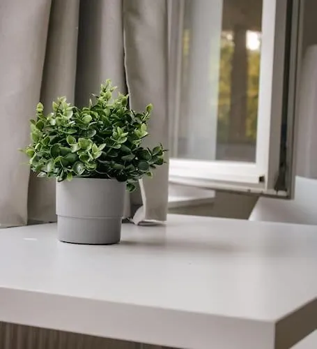 Apartmán Sion *